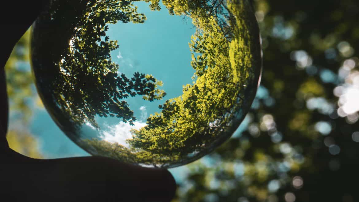 Glaskugel zeigt reflektierte Baumkronen und Himmel, Symbol für Umwelt und Nachhaltigkeit im Bau.