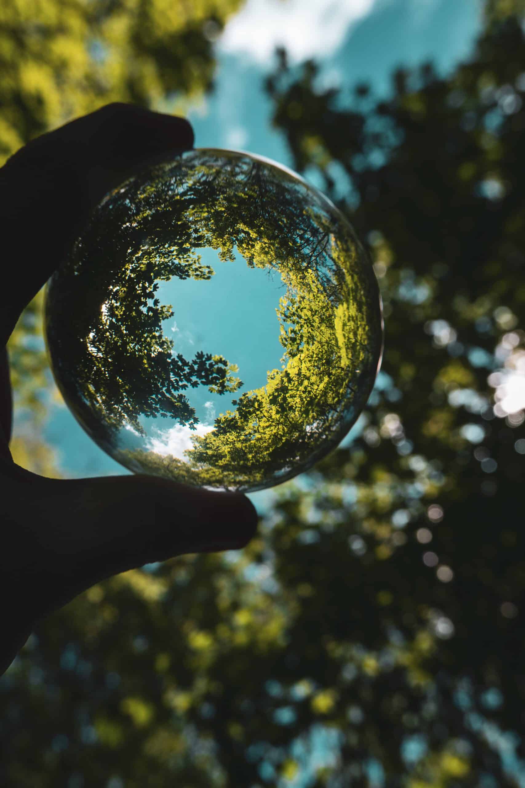 Glaskugel zeigt reflektierte Baumkronen und Himmel, Symbol für Umwelt und Nachhaltigkeit im Bau.