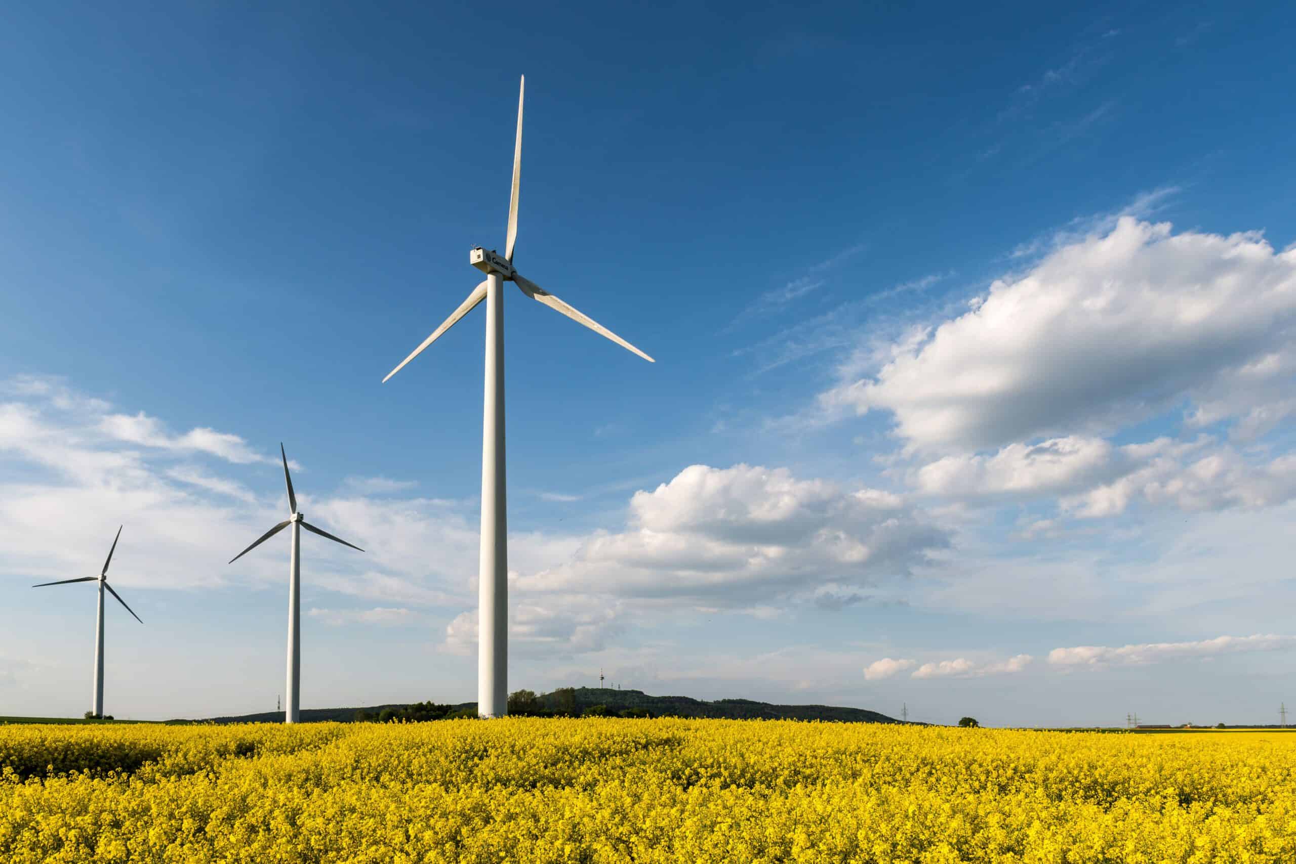 Windräder auf einem Feld bei Karlsruhe unter blauem Himmel.